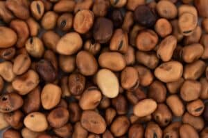 Opskrifter med Bønner