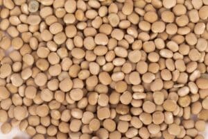 Opskrifter med Lupiner