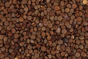 Opskrifter med Linser